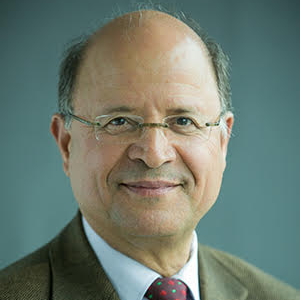 Youssef Mahmoud